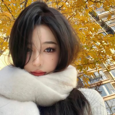 津门飞鹰
